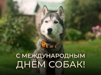 2 июля – Международный день собак! 2 июля – Международный день собак!