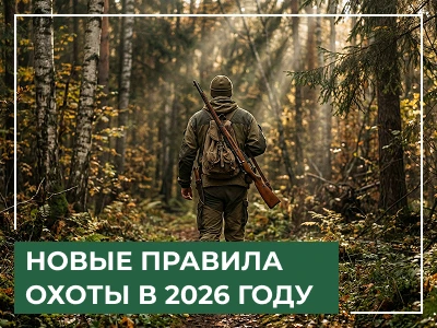 Правила охоты 2026: все изменения законодательства, получение охотничьего билета, путевки