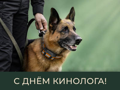 С Днём кинолога!