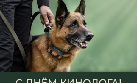 С Днём кинолога!