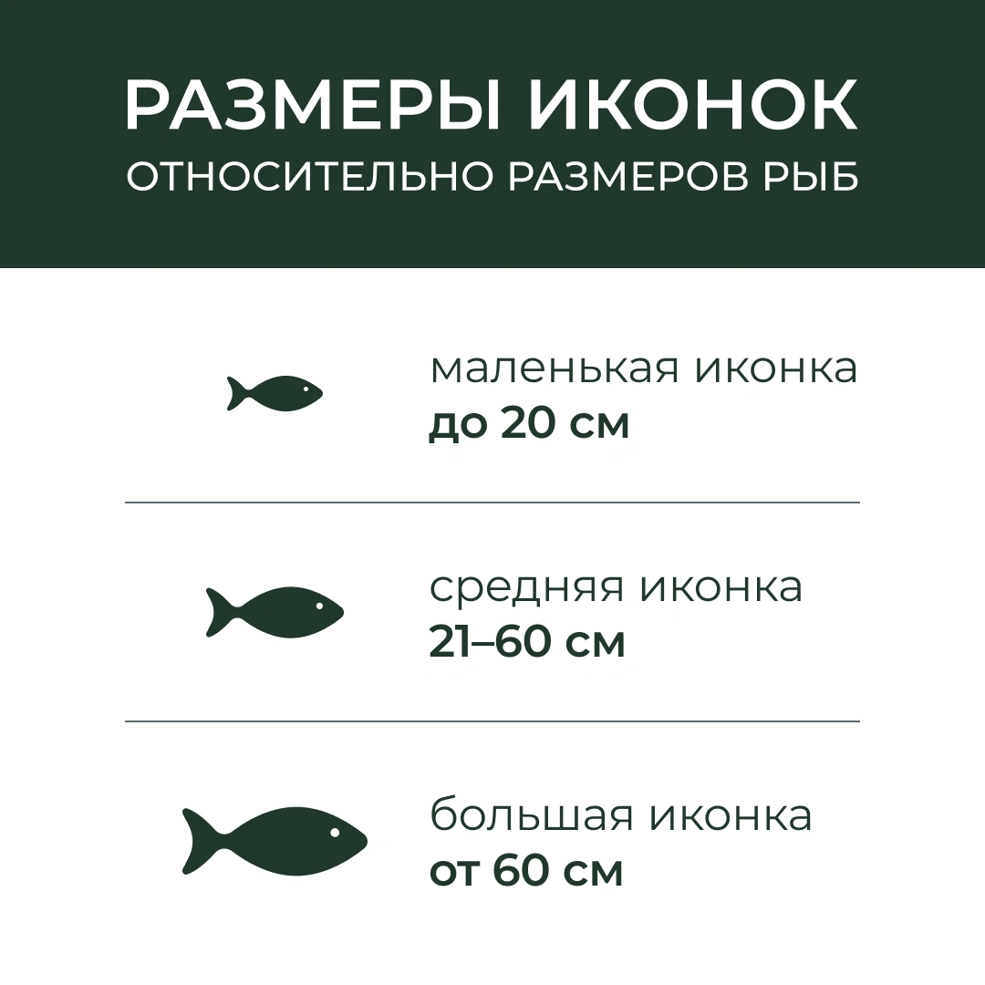Четкость отображения