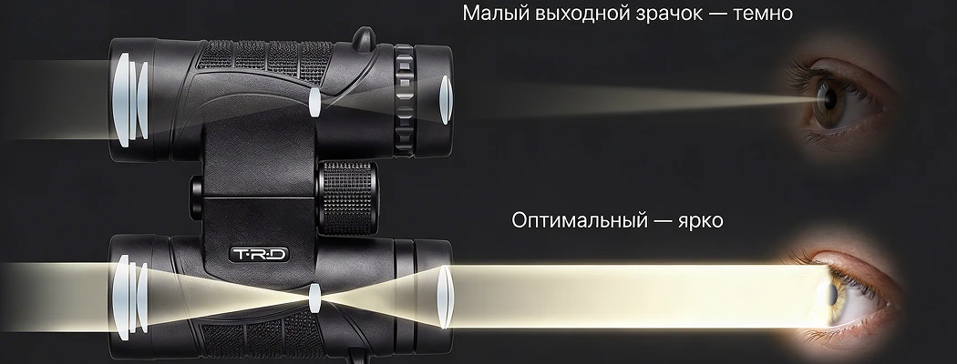 Инфографика прохождения светового луча через выходной зрачок оптического бинокля