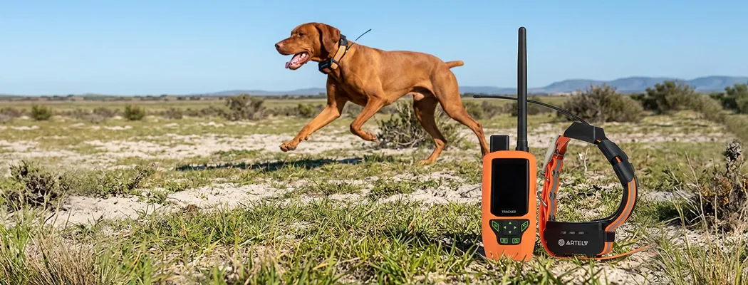 Тест GPS ошейника ARTELV TRACKER в открытом поле с перепадами высот